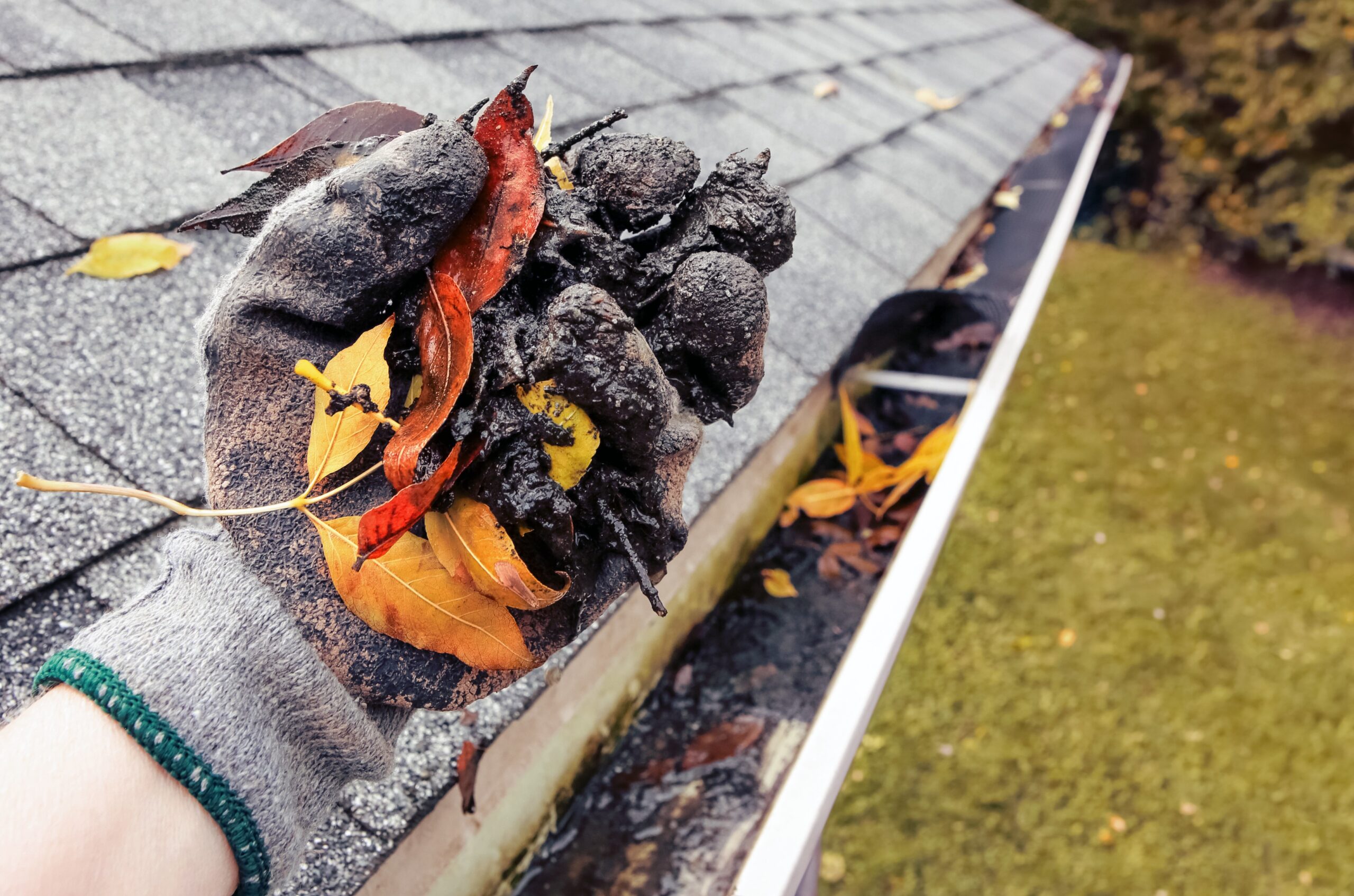 Cleaning leaves and debris out of rain gutters in autumn